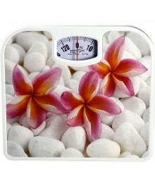 Весы напольные MAXTRONIC MAX-1640 орхидеи (механич, 130 кг, 20/уп)Весы оптом с доставкой по Дальнему Востоку. Большой каталог весов оптом по низким ценам.