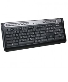 Клавиатура A4TECH KX-5MU черн+серый ,PS/2, 13 доп клавиш, удлинитель USB,наушников и микрофонаом с доставкой по Дальнему Востоку. Качетсвенные клавиатуры оптом - большой каталог, выгодная цена.