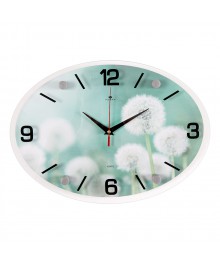 Часы настенные СН 2434 - 015 Одуванчики овальн (24х34) (10)астенные часы оптом с доставкой по Дальнему Востоку. Настенные часы оптом со склада в Новосибирске.