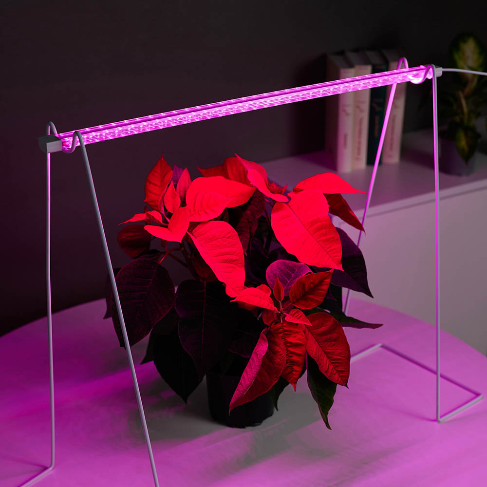 Светильник для растений светодиодный INBLOOM, 32LED, фиолетовый, 54х2.4х1.3см, 8Вт, 220В, ABS