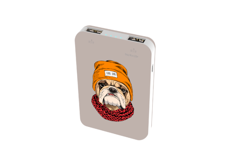 Внешний аккумулятор RITMIX RPB-10007 Bulldog (10000 мАч, выход 5V2.1A, 2*USB)