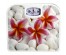 Весы напольные MAXTRONIC MAX-1640 орхидеи (механич, 130 кг, 20/уп)Весы оптом с доставкой по Дальнему Востоку. Большой каталог весов оптом по низким ценам.