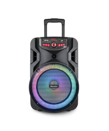 Активная напольная акустика Blackton Bt PBS2113 Черный (40Вт, BT/USB/FM/TF/MIC-6.3мм, акк, ду)Колонки  Орбита, Дефендер  оптом
