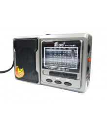 радиопр Fepe FP-1781BT р/п (USB, Bluetooth)Новокузнецк, Ленинск-Кузнецк, Барнаул, Горно-Алтайск, Бийск, Томск и др. Bluetooth приемник  оптом.