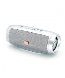 Колонка портативная с BLUETOOTH  OT-SPB105 Серебро (2*5Вт, USB/FM/TF/ AUX, акк, 21*9*9 см)и колонки оптом по низкой цене. Большой каталог Мини колонок оптом с доставкой по Дальнему Востоку.