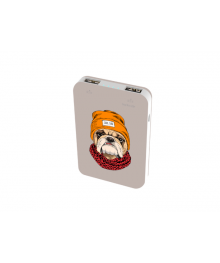 Внешний аккумулятор RITMIX RPB-10007 Bulldog (10000 мАч, выход 5V2.1A, 2*USB)да в Новосибирске, доставка по гг. Барнаул, Горно-Алтайск, Бийск, Томск, Кемерово, Новокузнецк, Лен