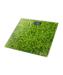 Весы напольные HOME ELEMENT HE-SC906 молодая трава (электронные, LCD-диспл, 180 кг/100г) 10/упВесы оптом с доставкой по Дальнему Востоку. Большой каталог весов оптом по низким ценам.