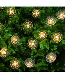 Гирлянда роза на солн. батарее 25LED, шампань, 2 реж, 7м,  ПВХ 2V80Ma,1.2V600mAhи парковые оптом. Светильники садово парковые оптом по низкой цене с доставкой по Дальнему Востоку.