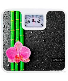 Весы напольные ENERGY ENМ-409D (механические)Весы оптом с доставкой по Дальнему Востоку. Большой каталог весов оптом по низким ценам.