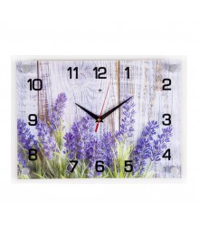 Часы настенные СН 2535 - 069 Фиолетовые цветы прямоугольн (35x25) (10)астенные часы оптом с доставкой по Дальнему Востоку. Настенные часы оптом со склада в Новосибирске.