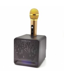 Караоке система OT-ERM08 Чёрная (10Вт, BT/USB/TF, аккум, 1 беспр микр)ада. Большой каталог микрофонов для караоке RITMIX, Defender оптом с доставкой по Дальнему Востоку.