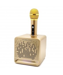 Караоке система OT-ERM08 Золото (10Вт, BT/USB/TF, аккум, 1 беспр микр)ада. Большой каталог микрофонов для караоке RITMIX, Defender оптом с доставкой по Дальнему Востоку.