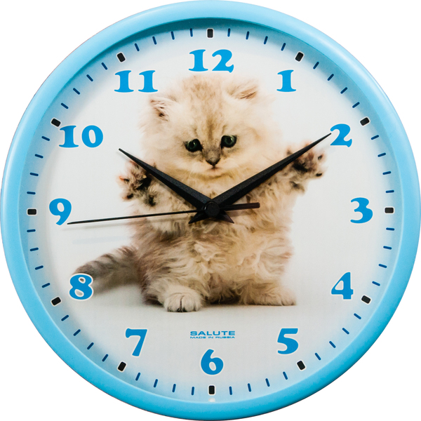 Часы настенные  Салют 26х26  П - 2Б4.5 - 395 КОТЕНОК пластик круглые (10/уп)