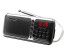 радиопр Сигнал РП-226BT (FM 76-108МГц, Bluetooth, акб 1100mA/h, USB/microSD, дисплей)Новокузнецк, Ленинск-Кузнецк, Барнаул, Горно-Алтайск, Бийск, Томск и др. Bluetooth приемник  оптом.