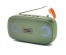 Колонка портативная с BLUETOOTH  OT-SPB103 Зелёный (2*5Вт, FM/USB/TF/AUX, микр, акк, 17.6*5*10 см)и колонки оптом по низкой цене. Большой каталог Мини колонок оптом с доставкой по Дальнему Востоку.