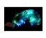 LED-8023-500x500.jpg