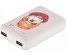 vneshniy-akkumulyator-ritmix-rpb-10007-10000mah-2-usb-vykhoda-2-1a-2-1a-buldog.jpg
